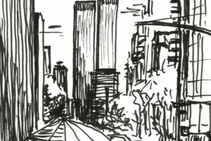 NY-01