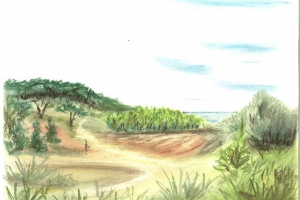 ostsee-08