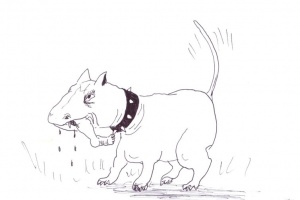 Hund