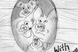 schweine